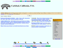Tablet Screenshot of carlsbad.ca.us